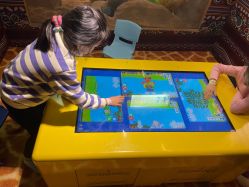 -卡通尼·Safari非洲探索乐园·生日会(金桥国际商业广场店)