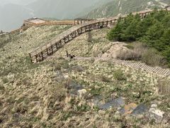 -白草畔自然风景区