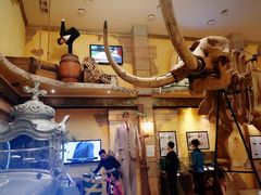 -信不信由你博物馆