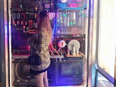 -Darling Queen·Mini·Live·House