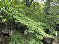 -虞山风景区