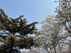 -民园广场