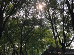 -明故宫遗址公园