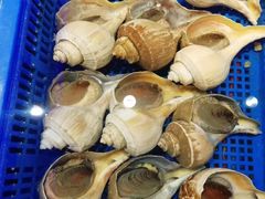 -榕港名轩(天禧店)