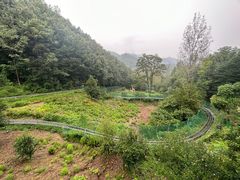 -鸡冠洞风景区
