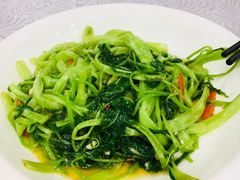 椒丝通菜-粤·向群饭店(龙津东路总店)