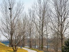 -洨河生态公园