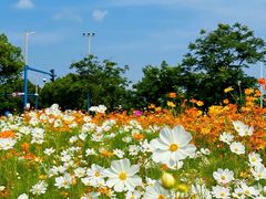 -东钱湖旅游度假区