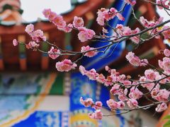 -开福禅寺