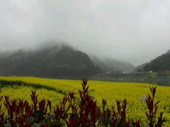 -新安江山水画廊风景区