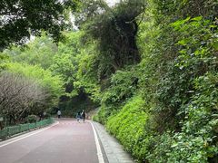 -金鸡山公园