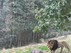 -乐和乐都动物主题乐园