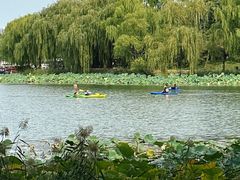-WhaleSports户外水上运动俱乐部(朝阳公园店)