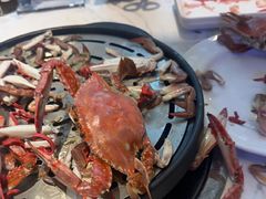 -半岛听涛蒸汽海鲜自助(K11店)