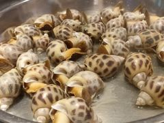 -青蓬蒸汽海鲜·深圳老字号·团建聚会(壹方城店)