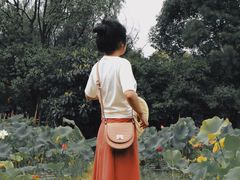 -贵阳市花溪国家城市湿地公园