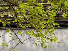 -绮园景区