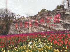 -东平国家森林公园