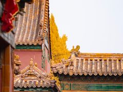 -故宫博物院(故宫)