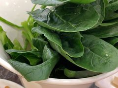 -朋友的火锅店(苏家屯店)