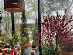 -自由生长植物工作室(深港花卉中心店)