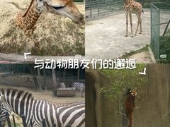 -南昌动物园