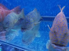 -钱塘府海鲜餐厅
