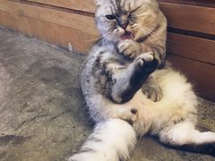 招牌-拾壹cafe·工作室