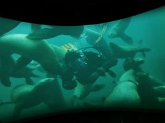 -珠海横琴国家地理探险家中心(创新方)