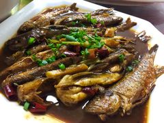 -品雅轩农家乐