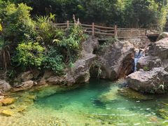 -南海湾森林生态园