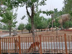 -北京鹿世界主题园