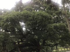 -福清灵石山国家森林公园
