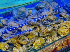-晶渔坊·海鲜私房菜(东夷小镇店)