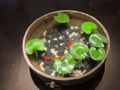 -曲水兰亭(北京四惠店)