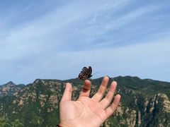 -京东石林峡风景区