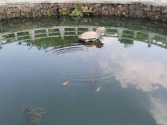 -白马涧龙池景区