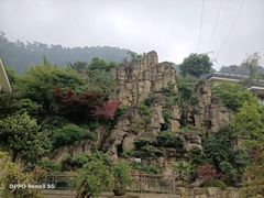 -老幺泉水鸡