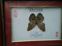 -日照市博物馆