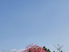 -马头山