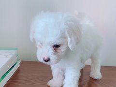 -仰生如卉推拿养生馆(酒仙桥店)