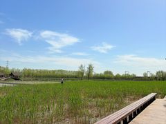 -永定河休闲森林公园