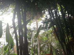 -龙达温泉生态城