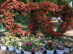 -上海共青森林公园