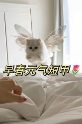 -M·X Nail日式美甲美睫