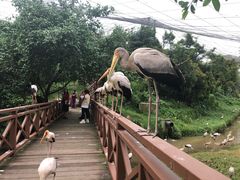 -吉隆坡雀鸟公园