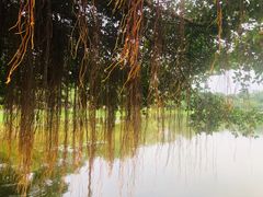 -松山湖南湖湾露营营地
