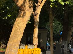 -南通濠河风景名胜区