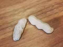-顺承小院儿