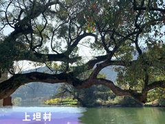 -上坦村